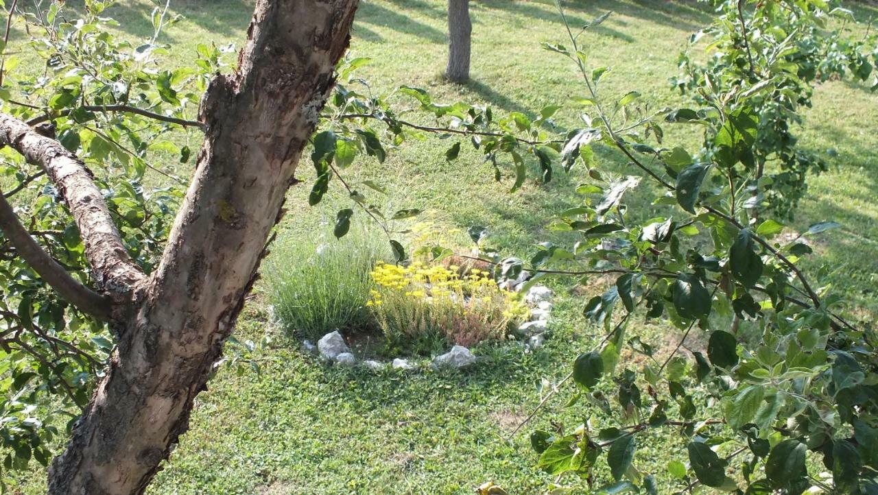 Guest House Ema Грабовац Екстериор снимка