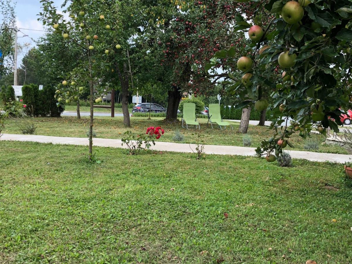 Guest House Ema Грабовац Екстериор снимка
